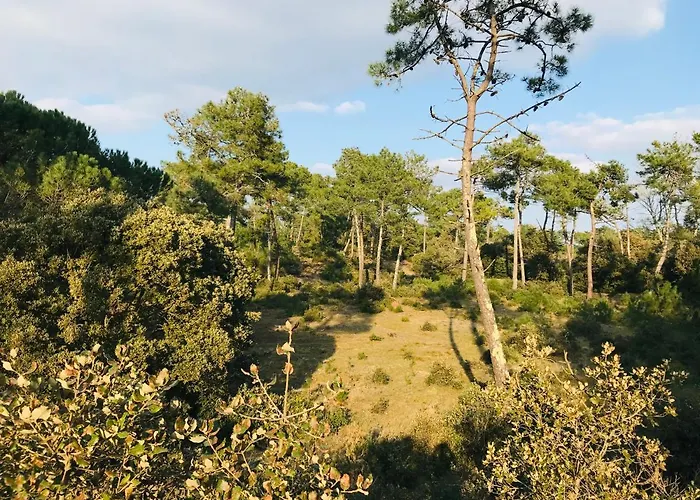 Διαμέρισμα Pied A Terre A Deux Pas De La Mer, Des Commodites Σαιν-Ζαν-ντε-Μον